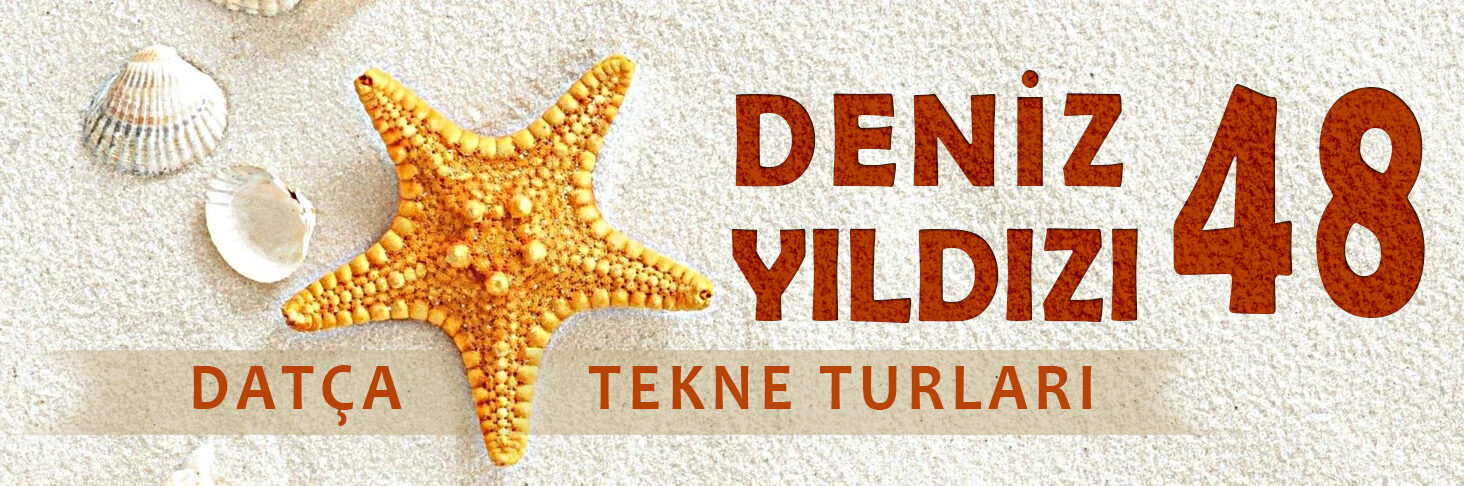 DENİZ YILDIZI 48 | Datça Özel Tekne Turu